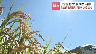 “令和のコメ不足”のなか、北海道新十津川町の農家で稲刈り始まる　９月中旬から新米が出回り状況改善か 今年のコメの作柄「平年並み以上」