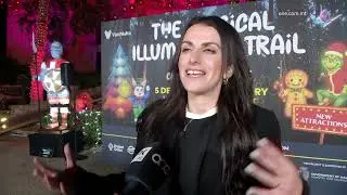 IL-VERDALA ILLUMINAT GĦALL-MILIED