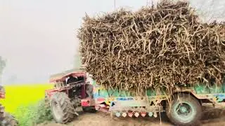 Tractor Power Challenge: Pulling a Risky Heavy Trolley| Village Fields Work 