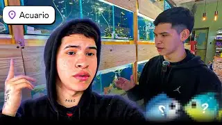MASCOTAS NUEVAS🐠