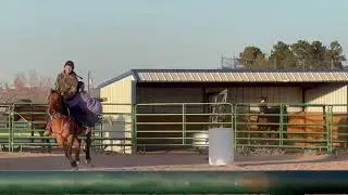 I&rsquo;VE GOT NO ROOTS! #horse #equestrian #fail #western #showjumping #funnyhorse 