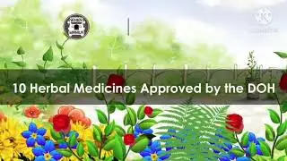10 Herbal Medicines Approved by the DOH