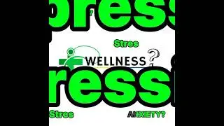 INTRODUCING WELLNESS OASIS
