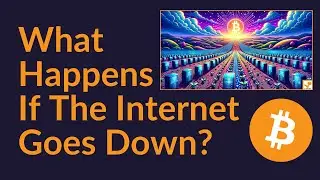 Bitcoin: What Happens If The Internet Goes Down?