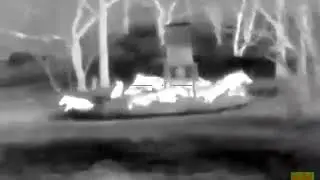 Flir 1