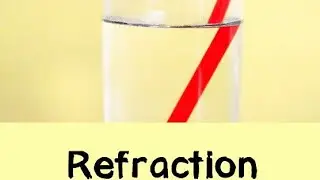 AMAZING SCIENCE EXPERIMENTS #shorts #science @FunScienceX