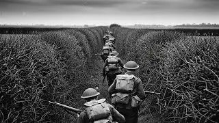 The Army Lost Among the Fences, Bocage Normandy 1944