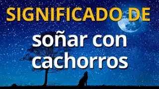 Qu&eacute; significa so&ntilde;ar con cachorros 💤 Interpretaci&oacute;n de los Sue&ntilde;os