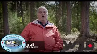 The Quick Story of the Dehavilland Beaver - Short Take Off and Landing - STOL - Hooked On Canada