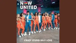 Crazy Stupid Silly Love