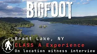 Bigfoot Brant Lake NY - LIVE Class A witness interview