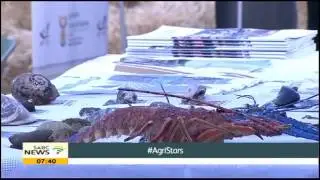 Youth in Agriculture and Rural Development