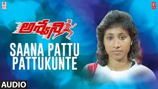 Saana Pattu Pattukunte Song | Ashwini Movie | Shashikumar,Bhanu Chander,Ashwini C | MM Keeravaani