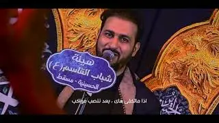 جنة الله بكربله الرادود امين الحمادي هيئة شباب القاسم التصوير علي النوري