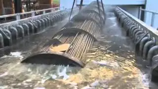 ECO HYGIENE CLEANING SOLUTIONS VID