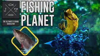 🎮 Bonus Game: Fishing Planet - Selenge Monster - Taimen-Khan (Cã dos Taimens)