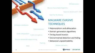 Evolving Strategies in Cyberattack and Response