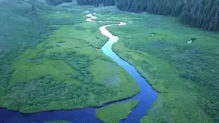 Yampa 2017