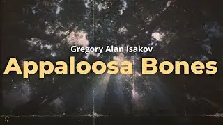 gregory alan isakov - appaloosa bones (lyrics)