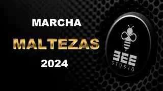 Marcha Maltezas 2024 - Carnaval da nazaré