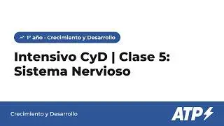 Intensivo CyD | Clase 5: Sistema Nervioso
