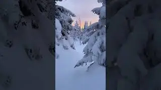 Спасение из снежного плена