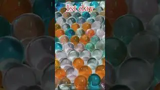 100 Hours Of Orbeez Shrinking Experiment 🤯😱 #shorts #ytshorts #timelapse #orbeez #experiment #viral