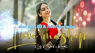 2026 unlimite mind relaxing music | chori chori dil tera churayenge | tera mera milna | 2026 song