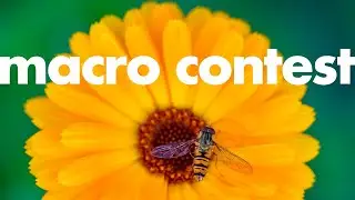 Конкурс макрофотографии Микаэля №1 &mdash; ВЫ ПРИГЛАШЕНЫ!