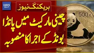 Panda Bond Issuance Planned in Chinese Market | Breaking News | Dawn News