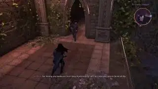 Dragon Age - The Veilguard P12 (Human Rook)