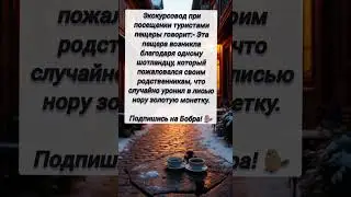 Золотая пещера #3070 #анекдот #юмор #приколы