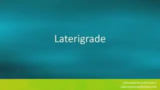 How to pronounce the word(s) 
