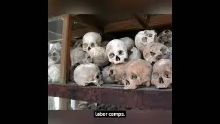 #7 Pol Pot Short Bio           | #shorts #history #bio