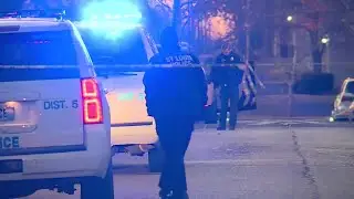 3 dead, 1 injured after shooting in St. Louis