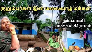 குறுகிய மலைகளுக்கிடையே மிருகங்களுடன் சண்டையிட்டு வாழும் மலைக்கிராம மக்கள் #edavani #tribesofindia
