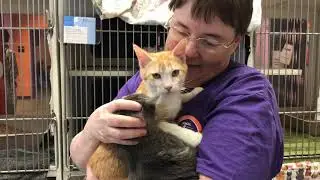 El Paso Animal Services Pawcast - May 2021
