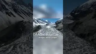 The Longest Walk in History Took 600 Generations