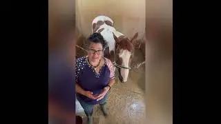 How to Bathe Your Horse: Achieving A Sparkling Clean Horse