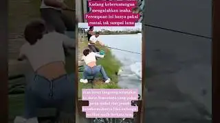 Pakai Rantai, Ikan Besar Naik! Pemancing Profesional Terdiam 😱#shorts #youtubeshorts #shortvideo
