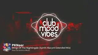 PREMIERE: PKNeer ─ Wings Of The Nightingale (Synth Hiacynt Extended Mix) [Viva Electronica Music]