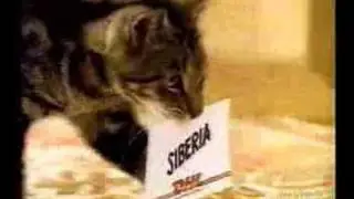 DHL commercial (Siberia)