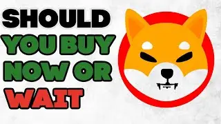 Should You Buy SHIBA INU Now?