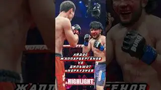 Айдос &laquo;Әлім&raquo; Жаппарбергенов - Дильшот &laquo;Showtime&raquo; Норкузиев #nomadfighting #boxing #fighting