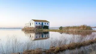 &iexcl;Enam&oacute;rate del Parque Natural de l&rsquo;Albufera con #Mediterr&aacute;neoEnAcci&oacute;n!