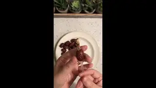 How to remove jujube pits quickly and well#shorts
