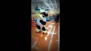 Une vache danseuse pro !