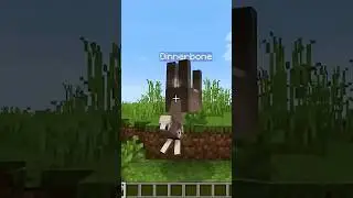 Dinnerbone Trick: #shorts #gaming #minecraft