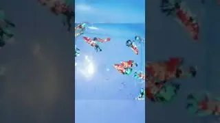 Betta Fish Nemo Koi | Daftar Populer