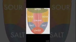You Taste From Your Nose